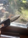 Mini-Troodon-C.jpg