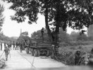 members_of_2nd_engineer_battalion_begin_to_cut_down_the_tree.jpg