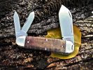 2012-tuna-sunfish-burl-01-loBF.jpg