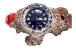 citizen-1977-challenge-diver-barnacles-Long-Reef-Beach-australia.jpg