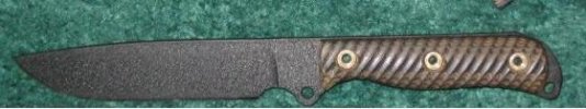 sjtiger.JPG