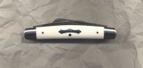 ivory-congress-1.jpg