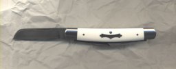 ivory-congress-4.jpg