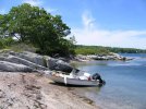 summerinmaine.jpg