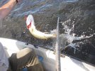 Fishing-008.jpg