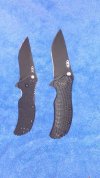 zt 0360 and 0306.jpg