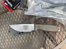 Esee1.jpg