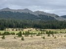 05616254-DA24-4011-8B0D-46D7092ADDE7.jpeg