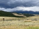 694D3044-B878-47B7-BD5C-1D8692CD2765.jpeg