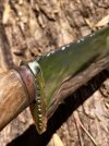 hunting-hamon-3.jpg hunting-hamon-3.jpg