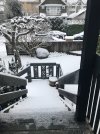 snow 2021.jpg
