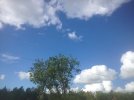 IMG_7967.JPG