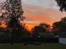 IMG_7724.jpeg