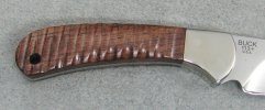 113.BOTM.Honduran.R0sewood.081822  (6).JPG