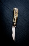 Bret Dowell  Swayback Mammoth  3.15''.jpg