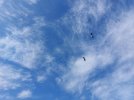 20220901_142753.jpg