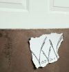 Voodoo 3V Door B.jpg