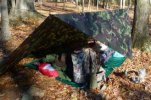 tarp......jpg tarp......jpg