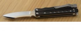 Model 081-1.jpg