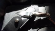 DSC00952.jpg