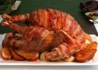 baccon bird.jpg