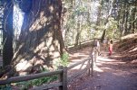 DSCF0504.jpg