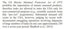 Narwhal USA Ban seit since 1972.jpg