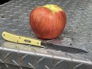 YellowSlimTrap 3.JPG