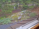 Window-view.jpg