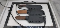 in sheaths.jpg