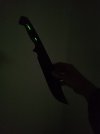 IMG_20220809_062903378.jpg