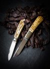 Esky Zulu Mammoth Madison Barlow Northwoods Biltonk Jerky selbst trocknen fleisch dörren ofen.jpg