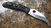 crkspyderco 006.jpg