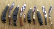 Foxy 11-23.jpg