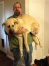 Holding Gus1.jpg