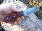 amber dyed stag bone 007.jpg