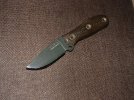 busse 003.jpg