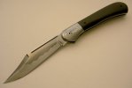 Copper%u00252520head%2520folder.jpg