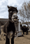 05F67B47-F3A5-4F59-AD93-F9F3433E5528.gif