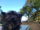 20220915_075749.jpg