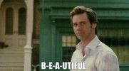 b650748f-8221-41db-87b1-3937a99d1865_text.gif