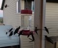 20220922_062923.jpg