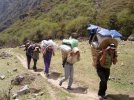 Tamang Trekking 2007porters from Wale.jpg
