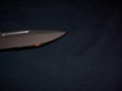 000_6490.jpg