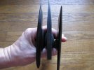 hawk edges.jpg