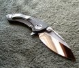 W Shark2.jpg