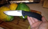 ZT 0560 Waved (1).jpg