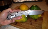 ZT 0560 Waved (3).jpg