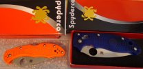 Spydies.jpg