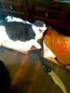 20220927_172506.jpg
